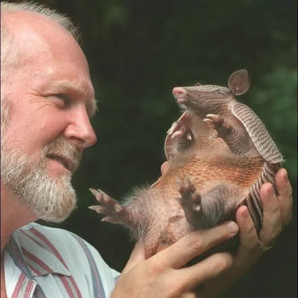 thumbnail for publication: The Nine-Banded Armadillo (Dasypus novemcinctus)